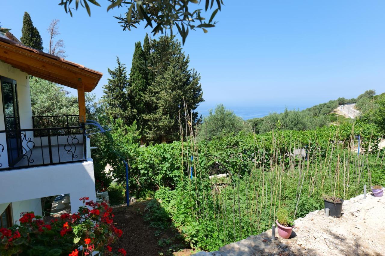 Bed and Breakfast Vila Panorama Piqeras Zewnętrze zdjęcie